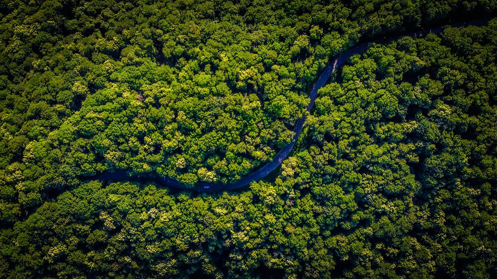 3 SUSTAINABLE OFFSET PROJECTS WE INVEST IN TO MAKE FLAWSOME! CARBON POSITIVE
