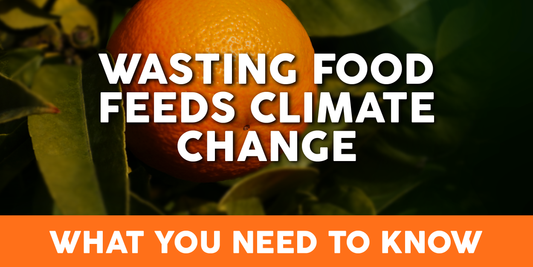 THE FLAWSOME! GUIDE TO UNDERSTANDING FOOD WASTE & CLIMATE CHANGE